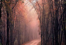 天涯论坛卷帘门配件妙趣多