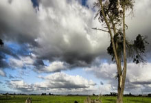 天涯论坛卷帘门配件妙趣多