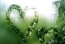 天涯论坛地震惊魂记：求生故事全揭秘