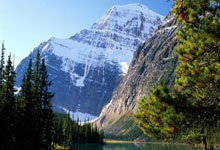 天涯论坛地震惊魂记：求生故事全揭秘