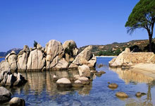 天涯论坛地震惊魂记：求生故事全揭秘